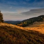 探索东升国际网页版:全新在线娱乐平台的魅力与特色 m29imr6h58