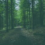 探索亚洲娱乐市场:从电影到音乐的全景分析 qmtl7cgnz