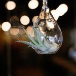 探索乐虎平台的独特优势与市场竞争力分析 v98l8h2tdx