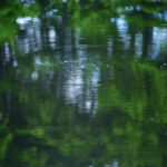 2014116期双色球开奖号码及中奖详情公布 0hwpkfkw