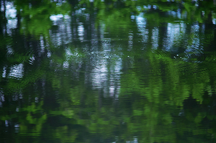 2014116期双色球开奖号码及中奖详情公布 2014116期双色球开奖号码及中奖详情公布