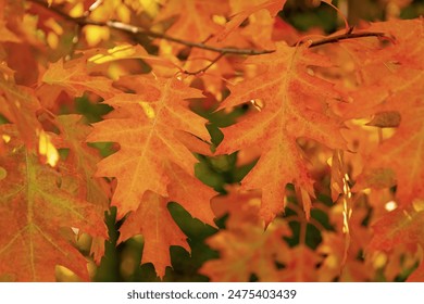 3D开奖直播广播全程高清同步播放