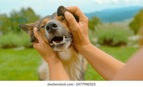 2014年亚青赛全程赛事直播精彩不容错过 2014年亚青赛全程赛事直播精彩不容错过