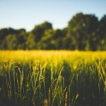 2013年开奖结果全记录与回顾 2s4jwzv5