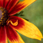 2014018期双色球开奖号码及结果查询 5o19w3x7x