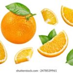 2014中国好声音总决赛现场直播盛况回顾 6qyp3p74