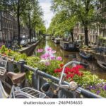 2014299期开奖结果公布与中奖号码查询 73iannv