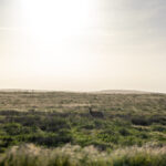 3D开奖第108期最新开奖结果与号码走势分析 fb7ju