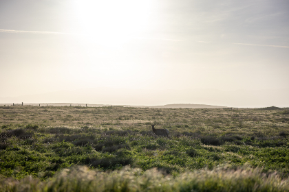 3D开奖第108期最新开奖结果与号码走势分析 3D开奖第108期最新开奖结果与号码走势分析