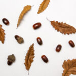 2013年大乐透开奖结果历史回顾与详细数据汇总 n0kh3c