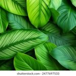 2013年双色球开奖结果全记录与历史数据分析 rzxe56k