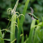 2014007期双色球开奖结果查询与号码公布 sk9pbselmj