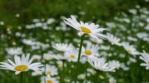 2014135期双色球开奖号码及结果查询 2014135期双色球开奖号码及结果查询