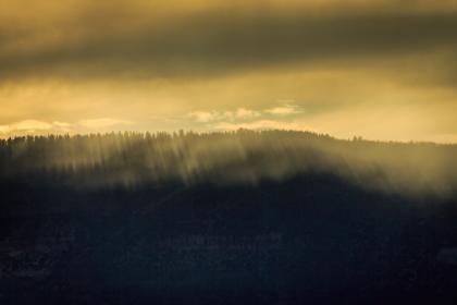 2014年世乒赛团体赛全程直播精彩对决不容错过 2014年世乒赛团体赛全程直播精彩对决不容错过