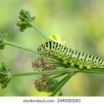 2014040期双色球开奖号码结果查询 wu8j2ltb34