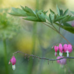 2014247期开奖结果公布,幸运号码震撼揭晓 y47qkigmp