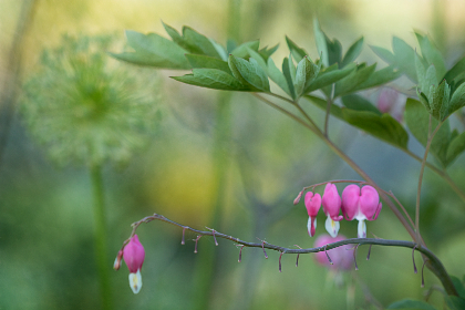 2014247期开奖结果公布,幸运号码震撼揭晓 2014247期开奖结果公布,幸运号码震撼揭晓